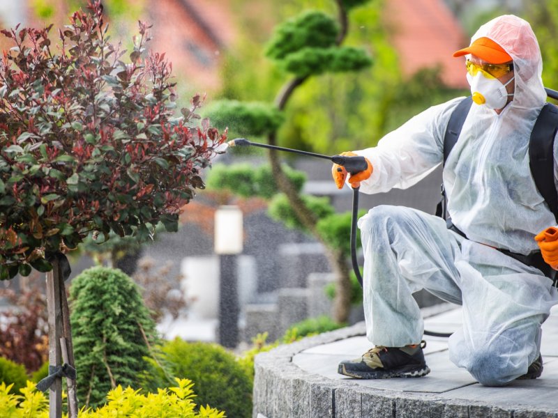 Adalar Haşere İlaçlama